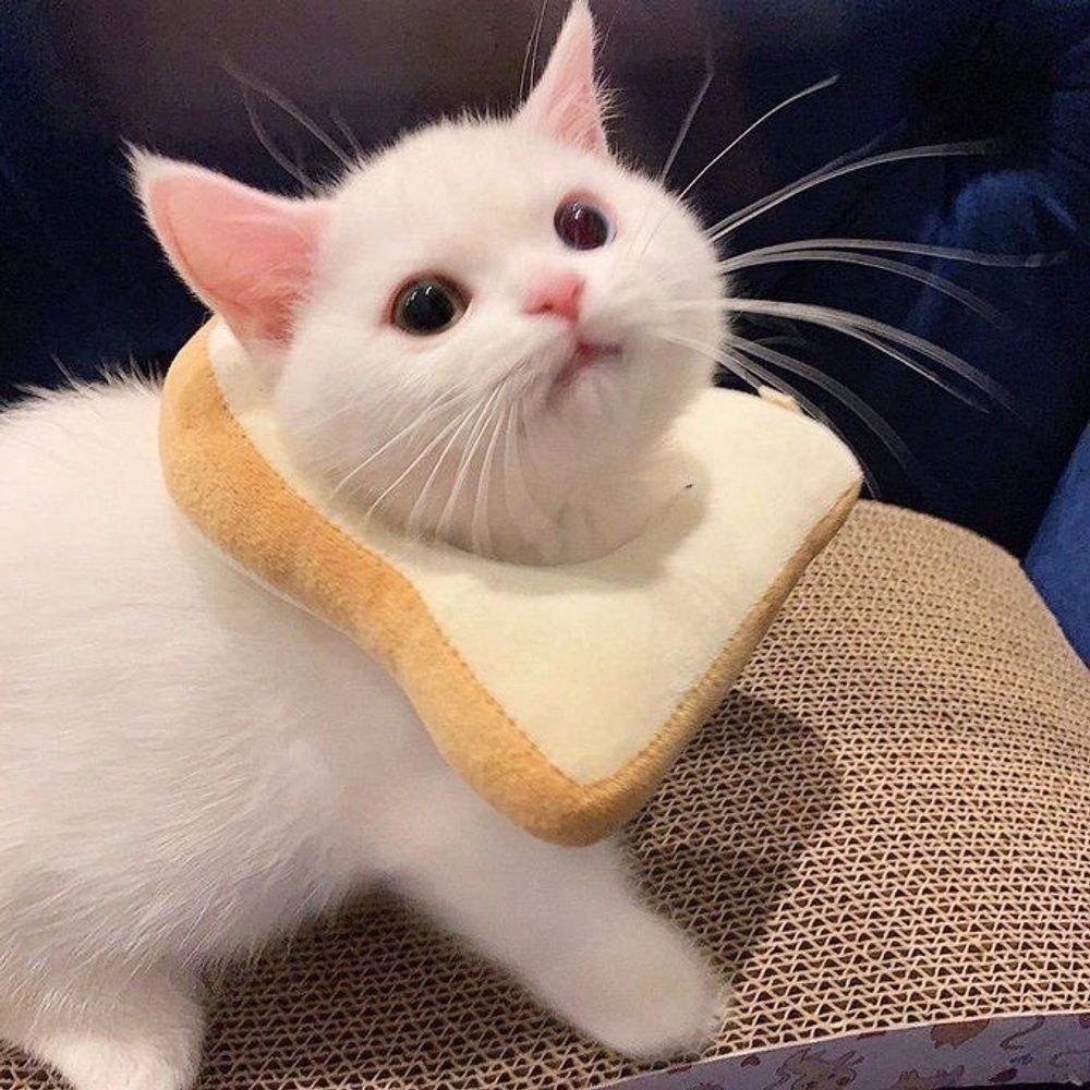 울고싶다코딩