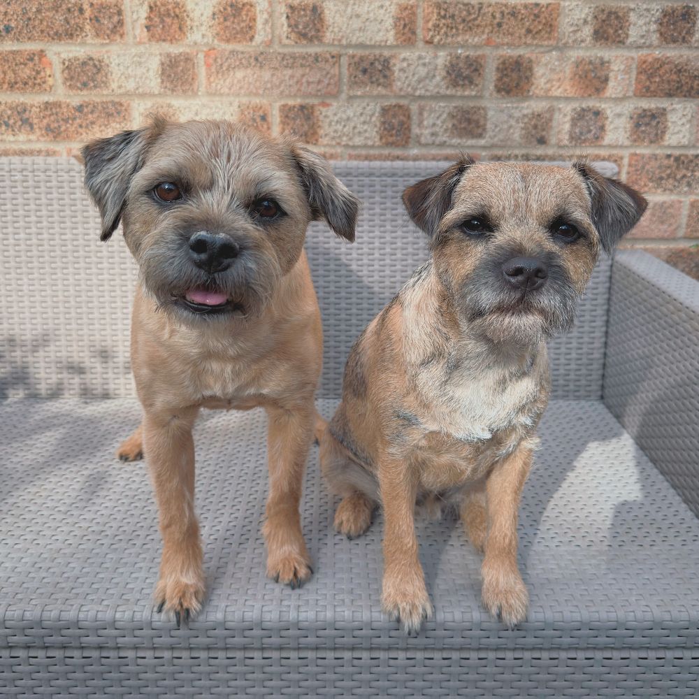 Hamish & Douglas