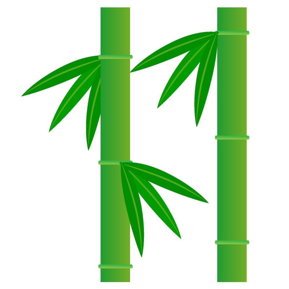 竹生
