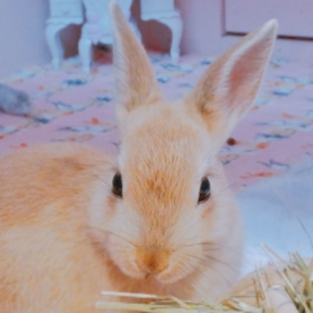 ゆおる