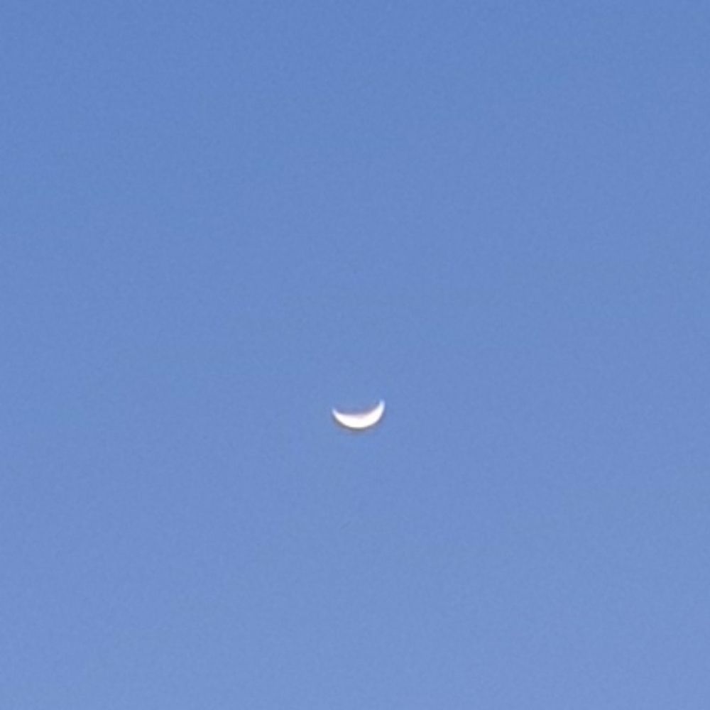 연🌙