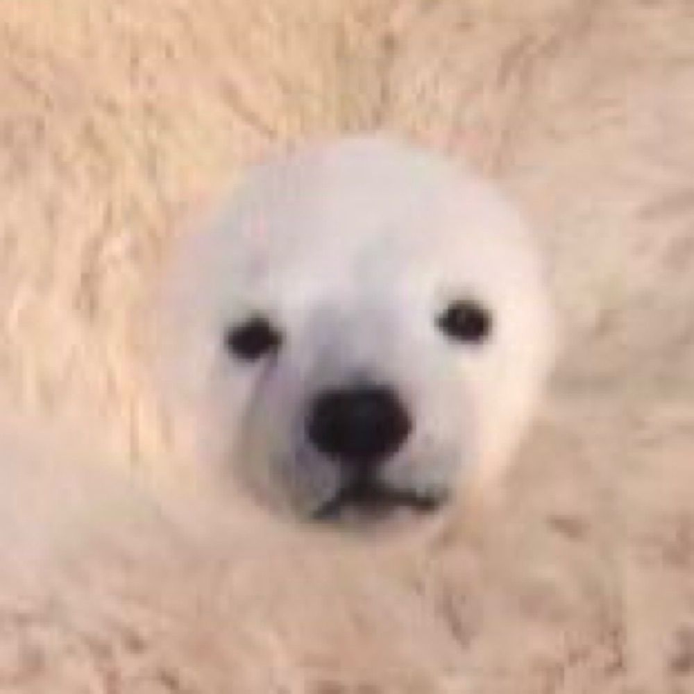 이먼지
