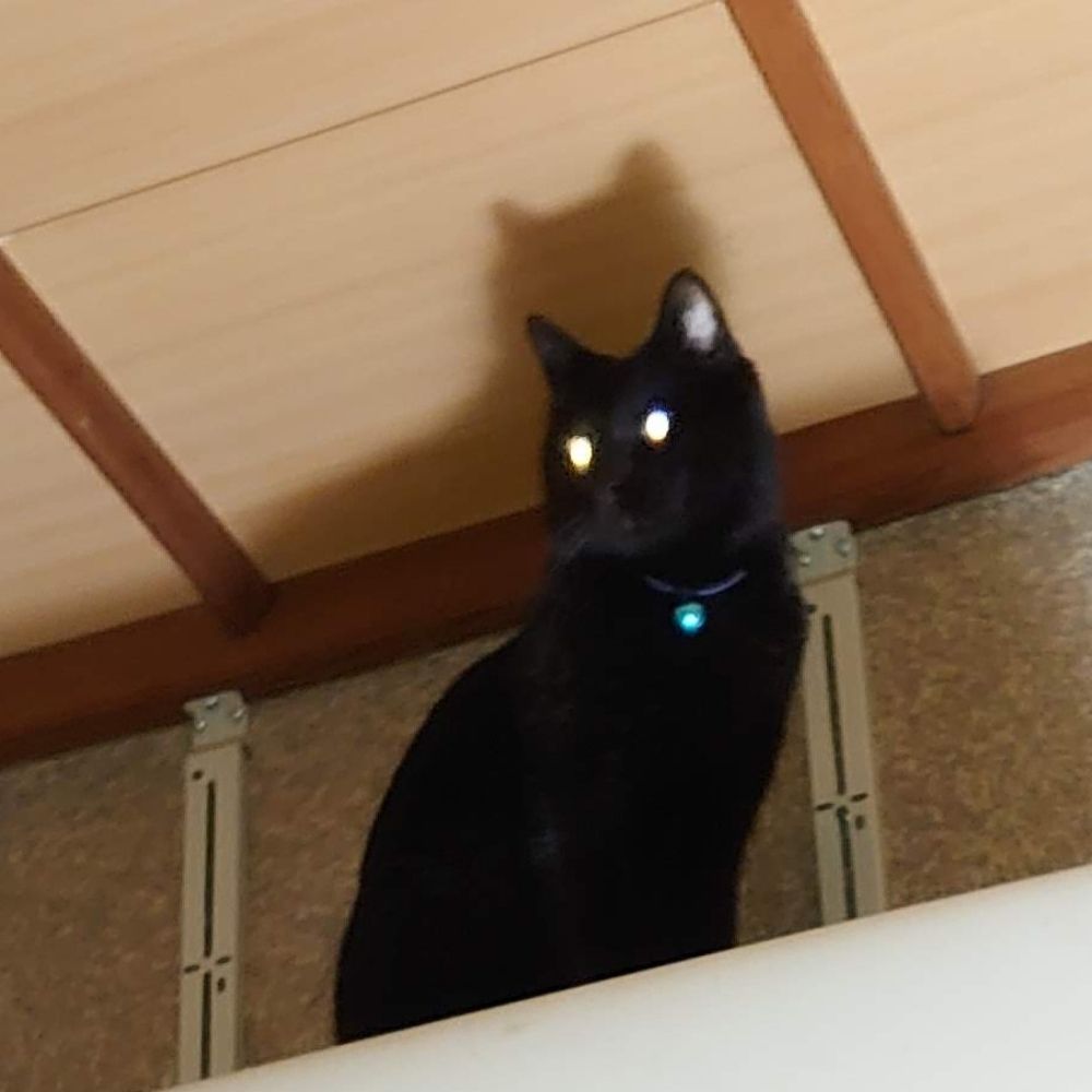 ソウ