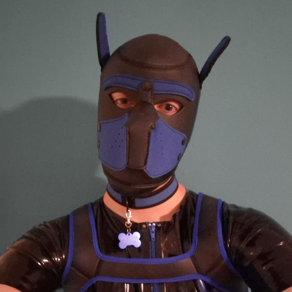 Pup Toby