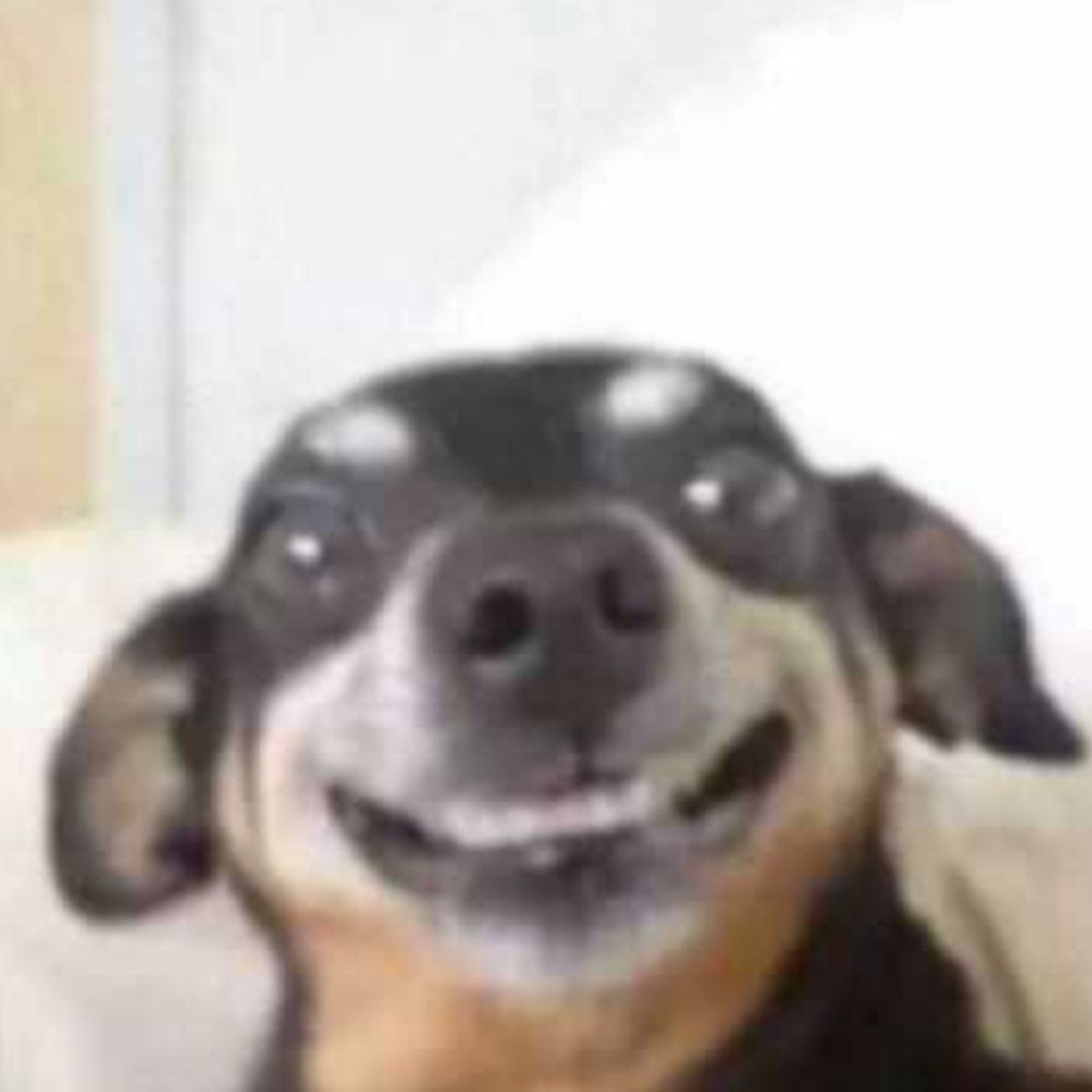 andy