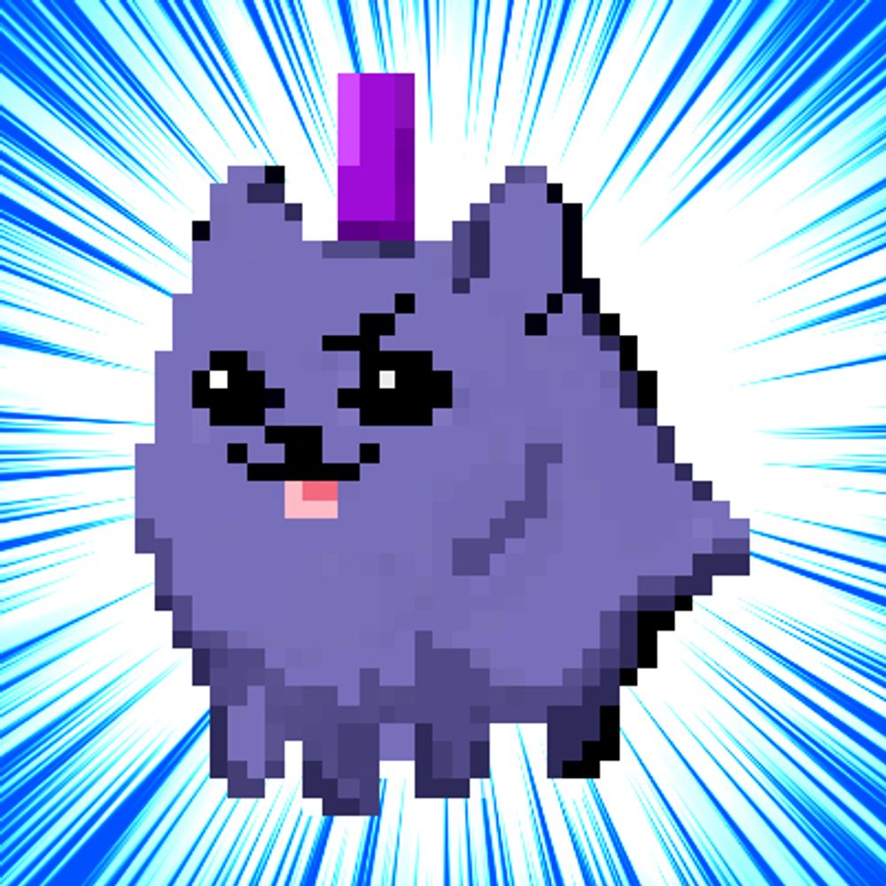 Junta ジュン太