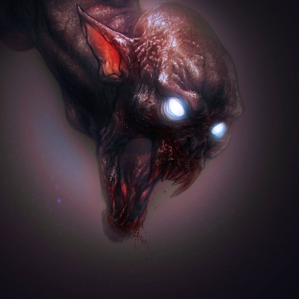 Chaora