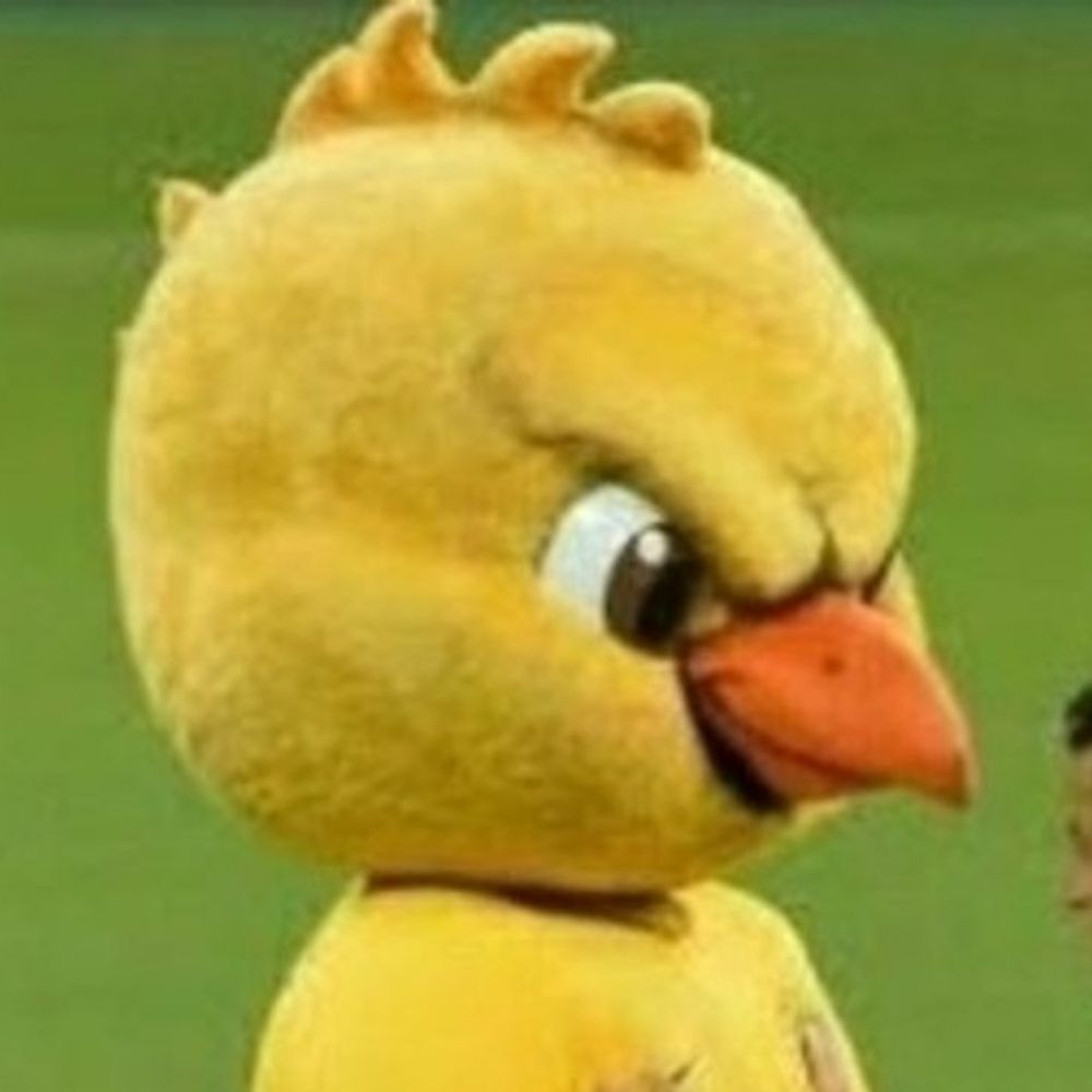 dgnnnnnnnscr