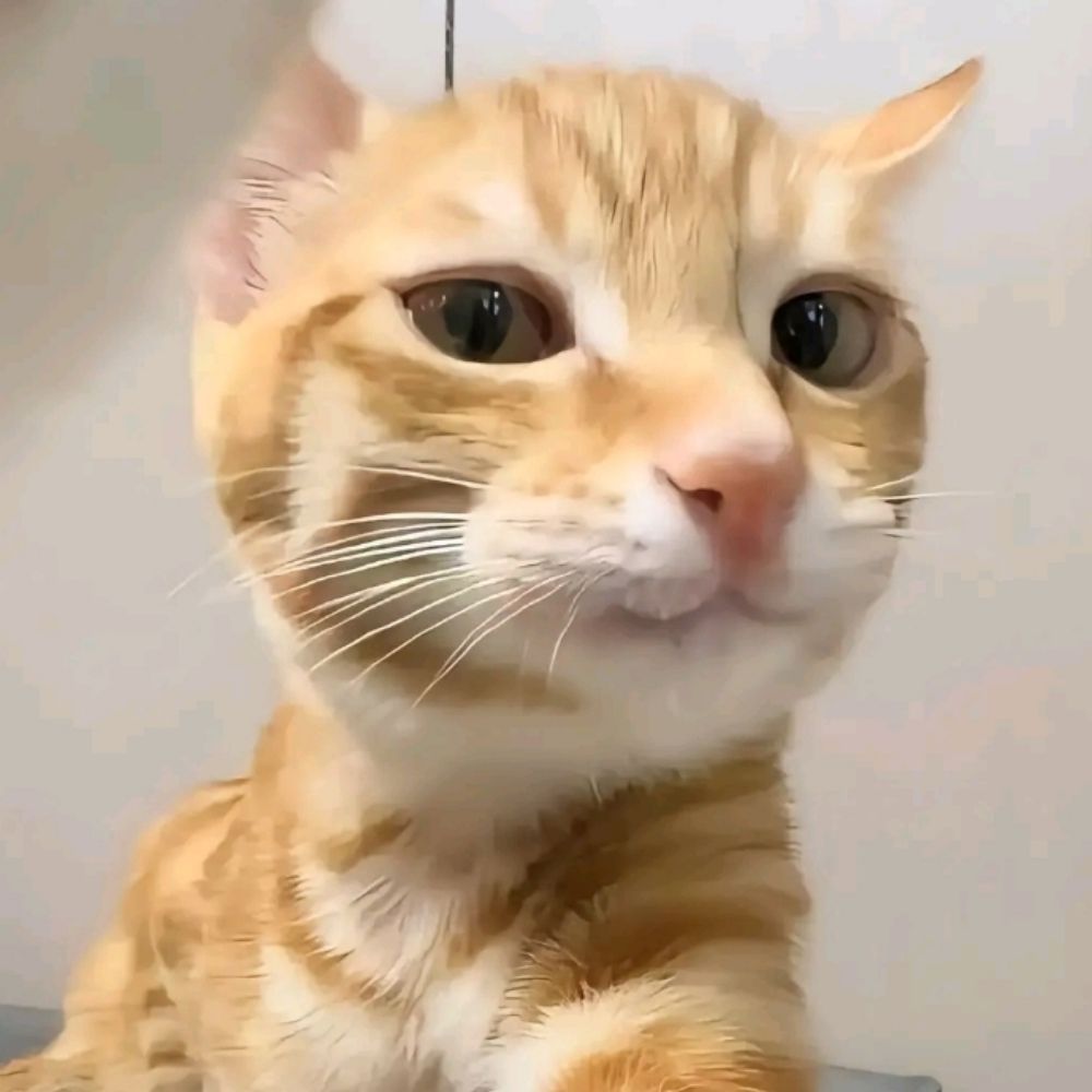  ⊹