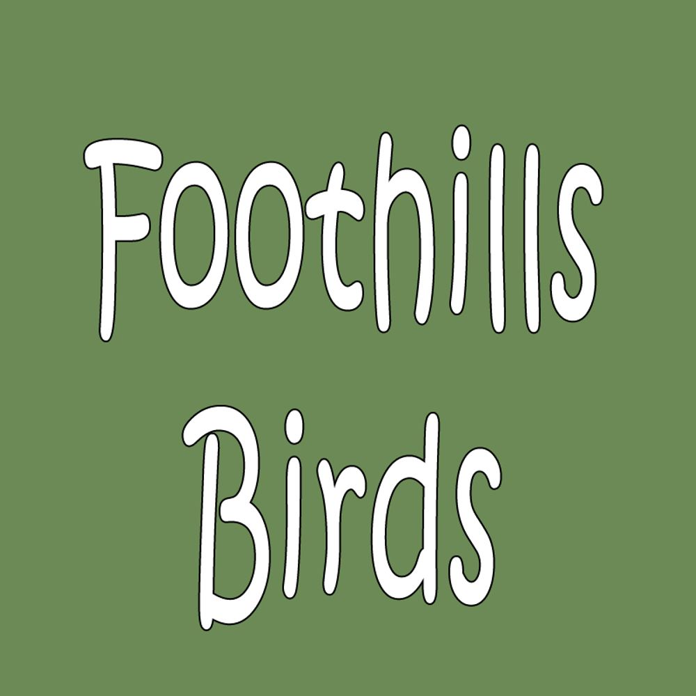 foothillsbirds.bsky.social profile picture