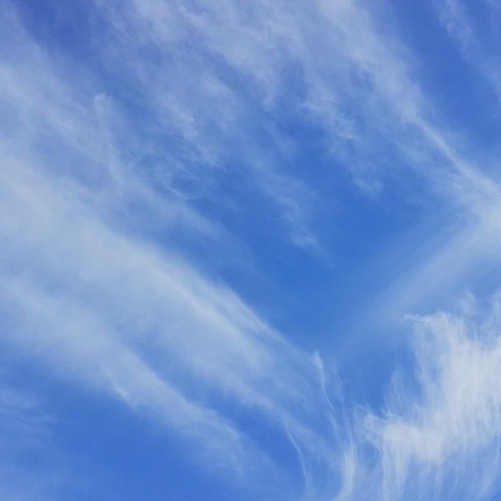pllpaulo7.bsky.social on Bluesky