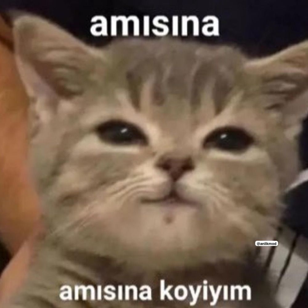 Ceku