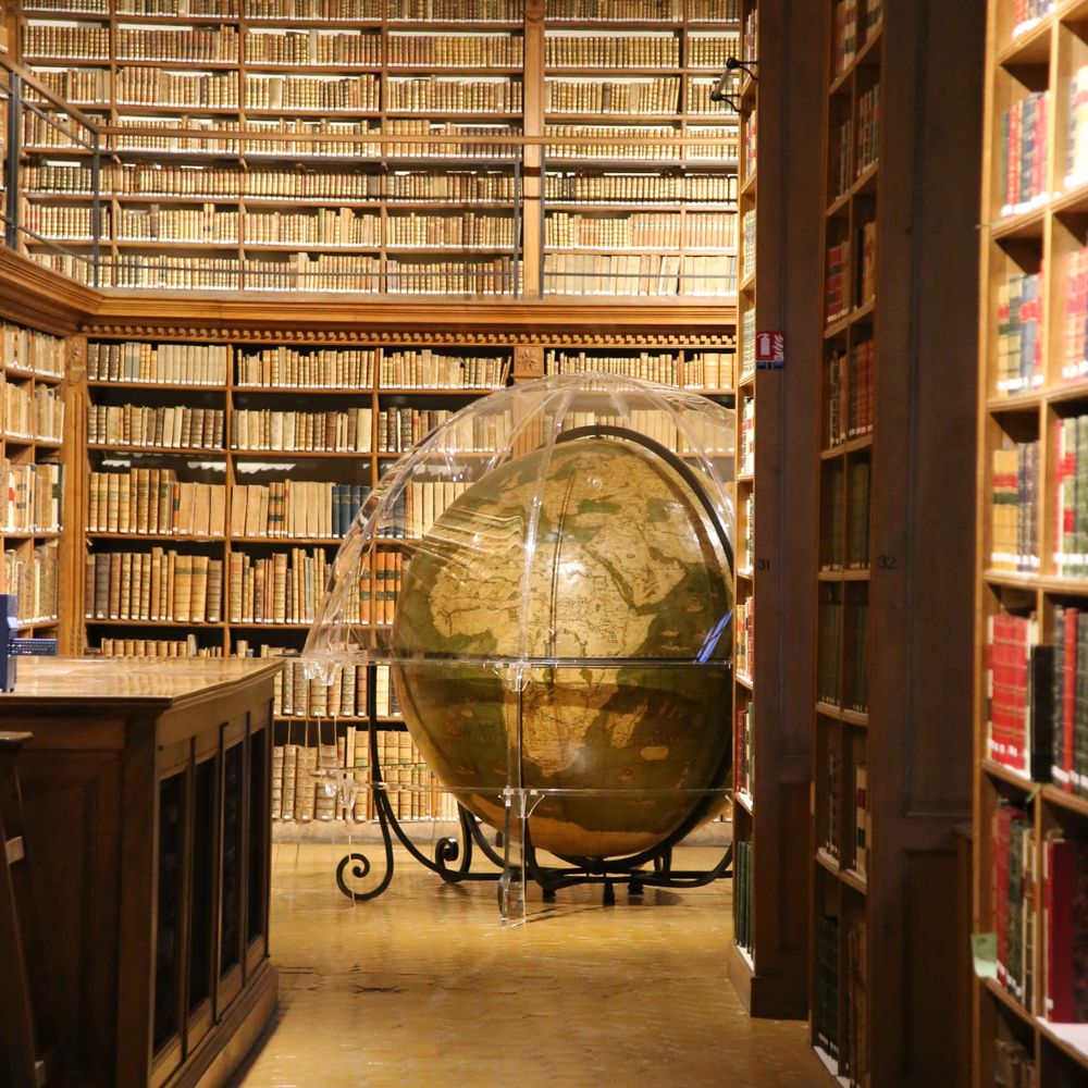 BM Dijon patrimoine