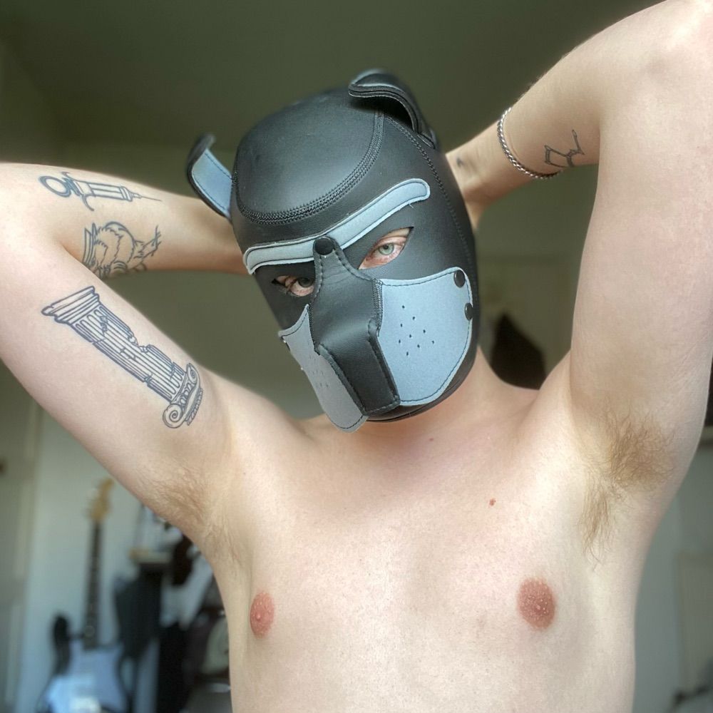 Pup Volt