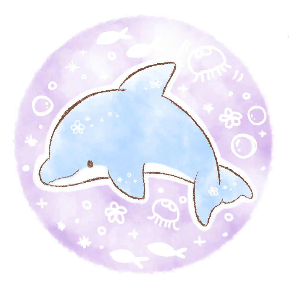 🐬✨