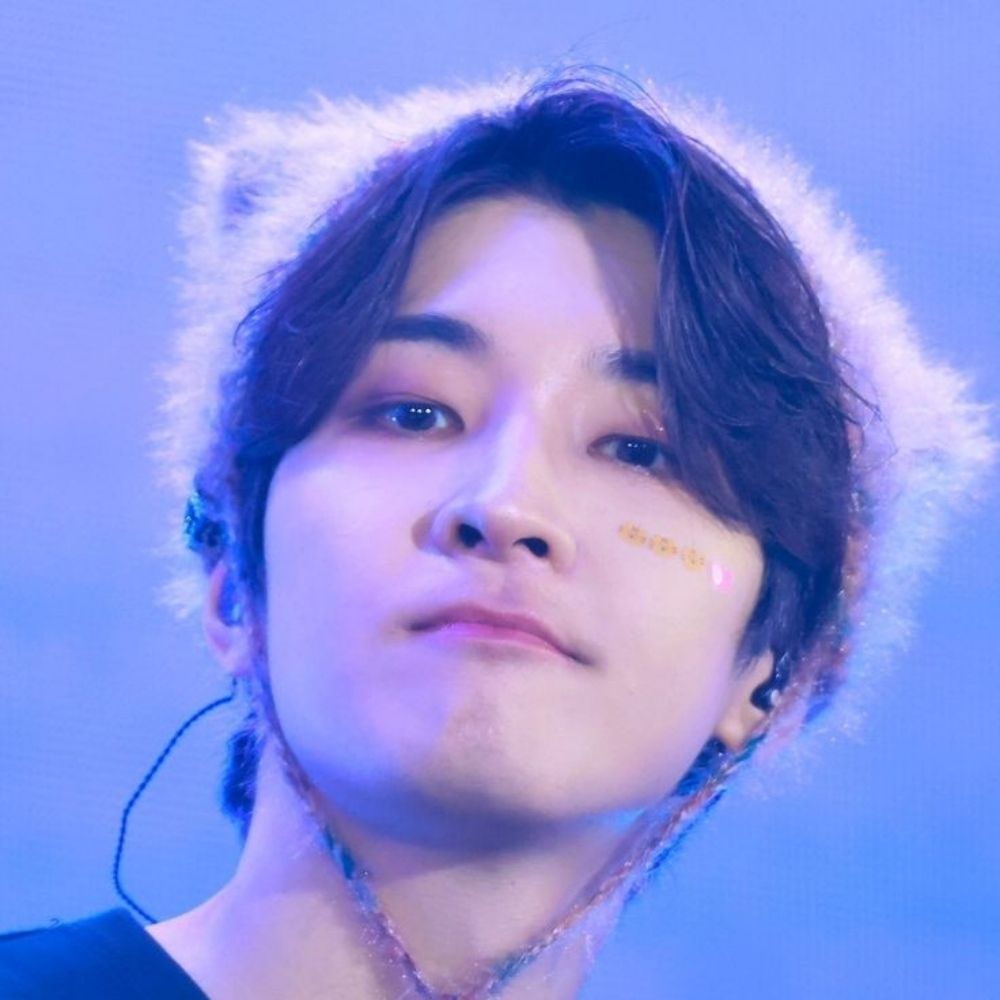 wonwoo kitty