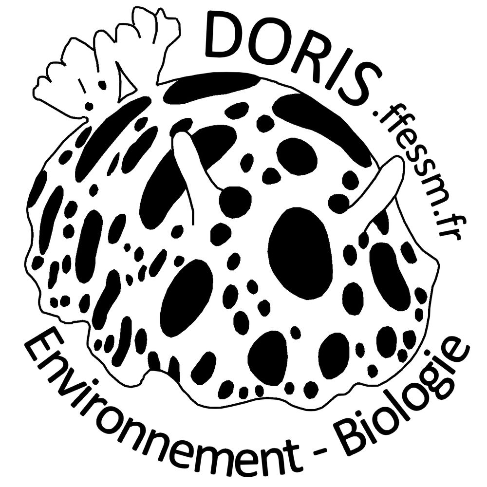 DORIS - Bio subaquatique FFESSM