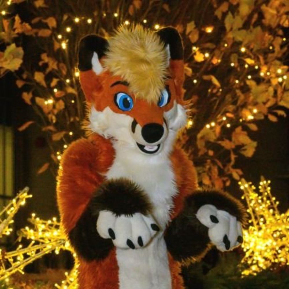 🐾 Flynn 🦊 🔜 AC 🐾