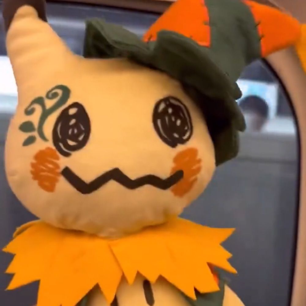 宅宅