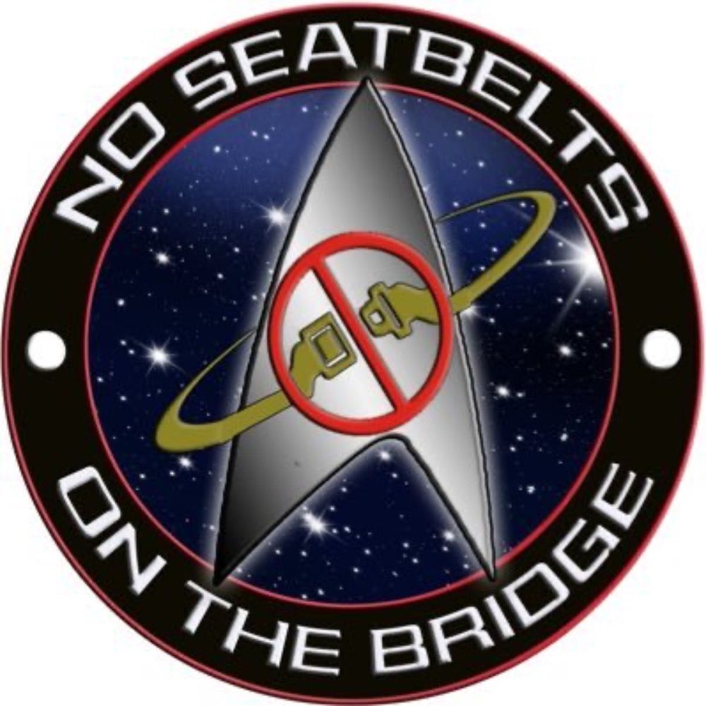 No Seatbelts on the Bridge