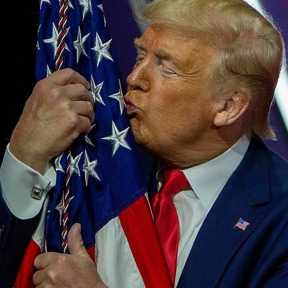 DJT Baby 👑