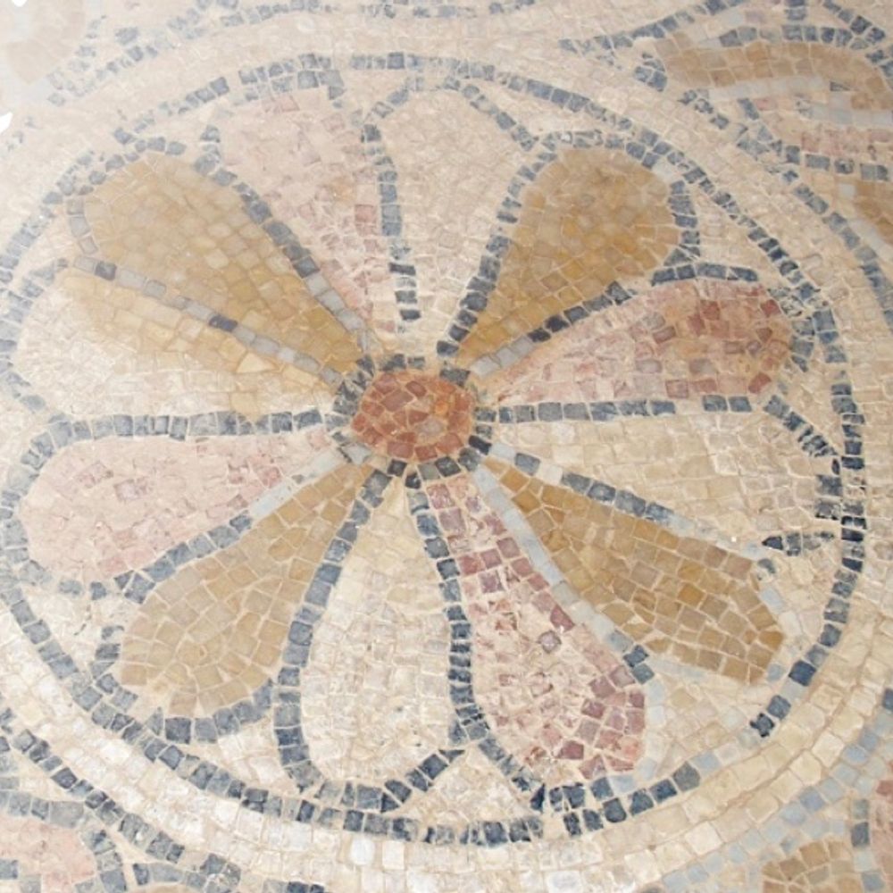 MOSAIC Group / Sbalzarini Lab