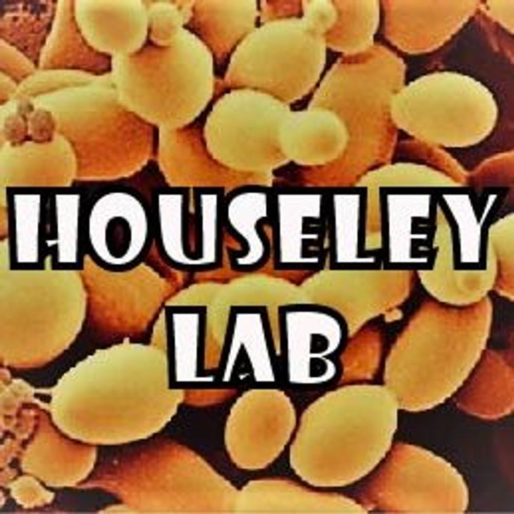 Houseley Lab
