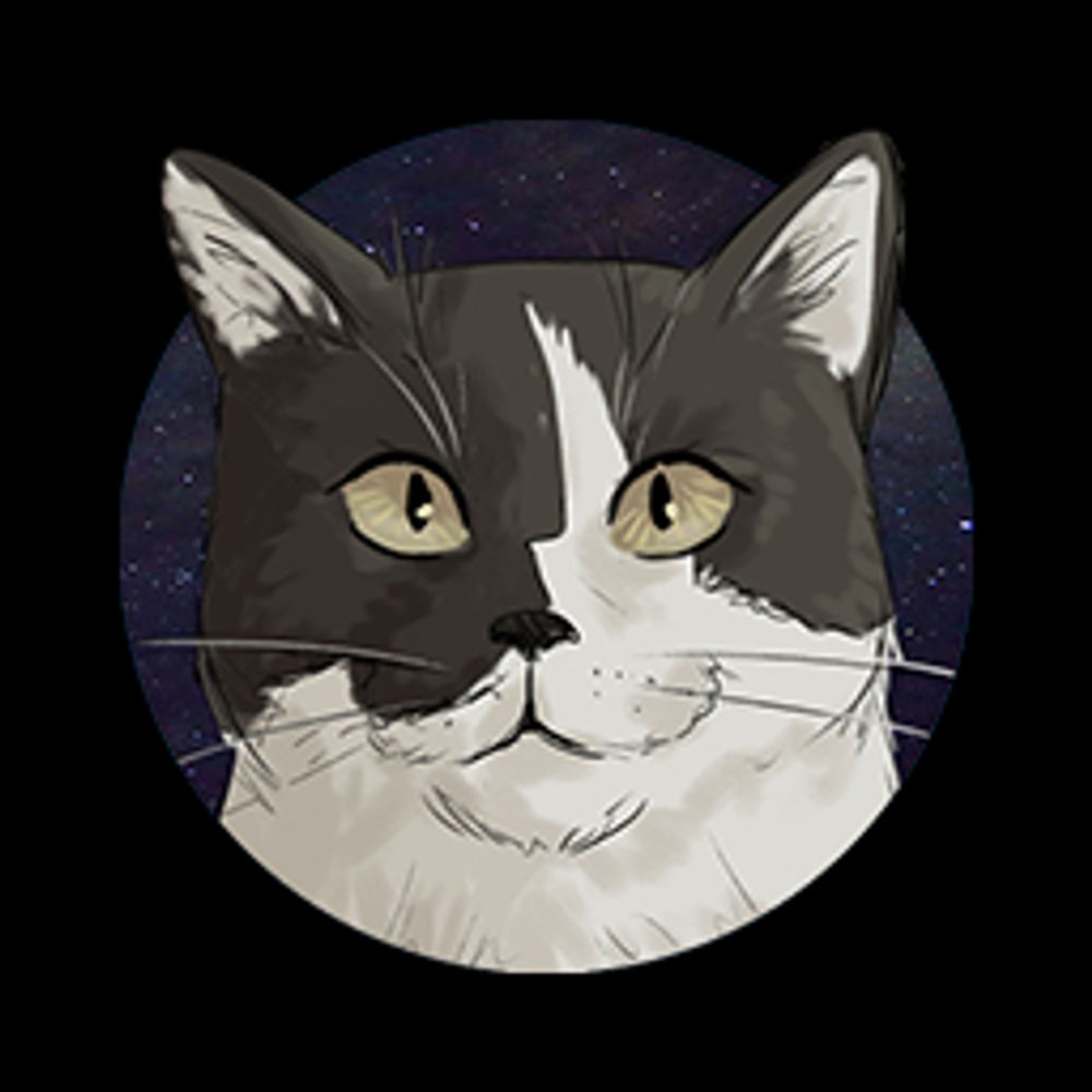 IF THEN ELSE Interactive Fiction