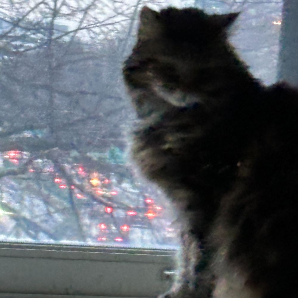 Amelia
