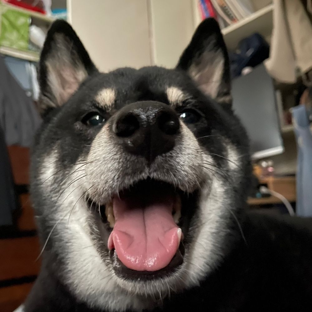 에B앙
