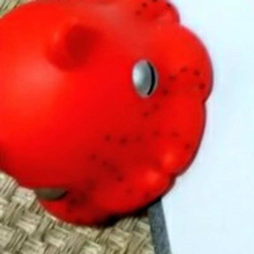 櫻井侑