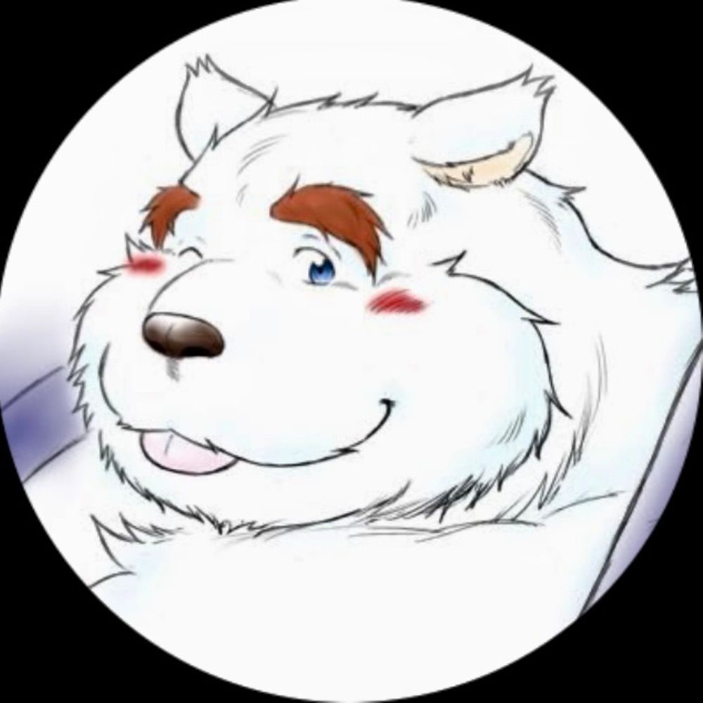 白熊's avatar