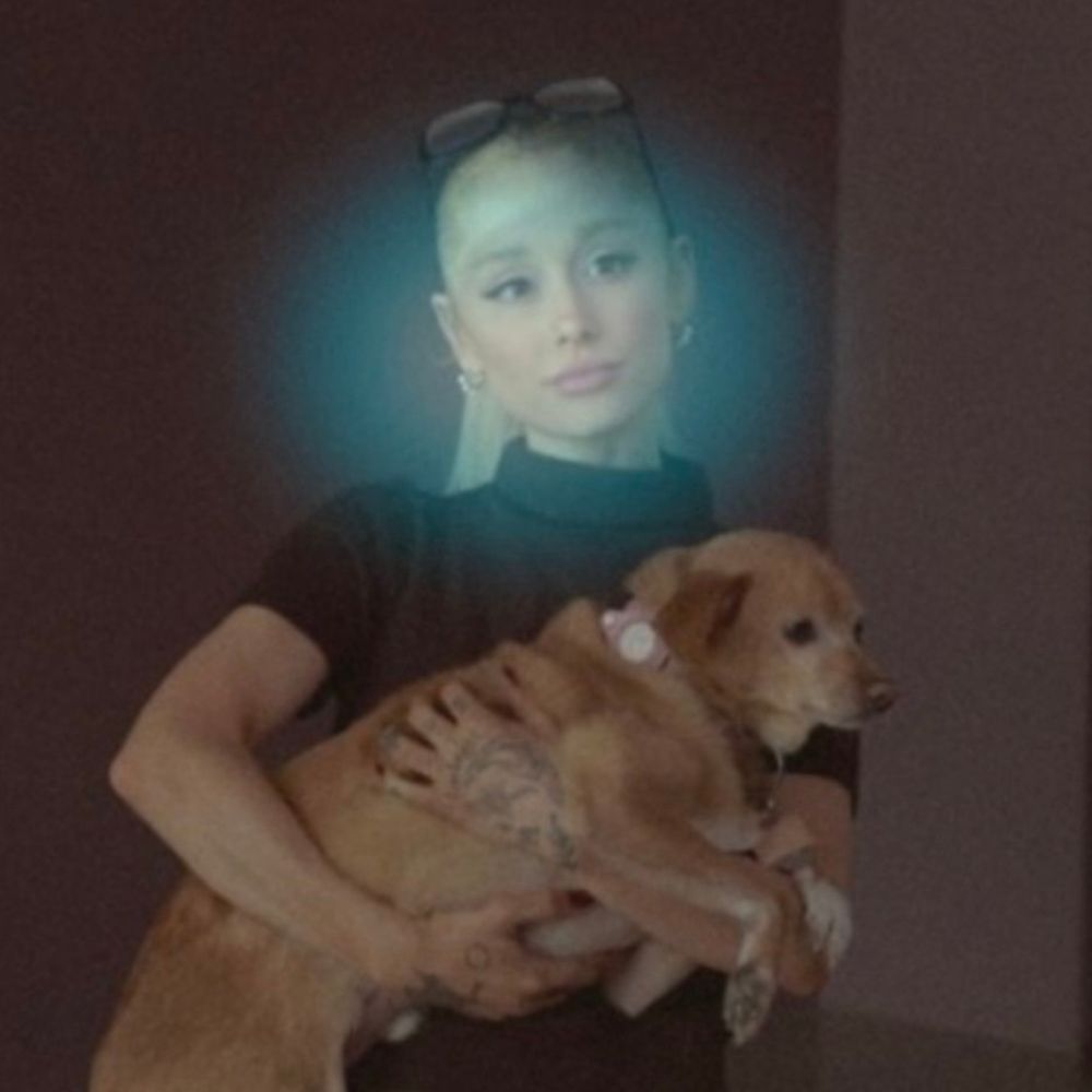 Ariana Stande 🍉 ∞☀️