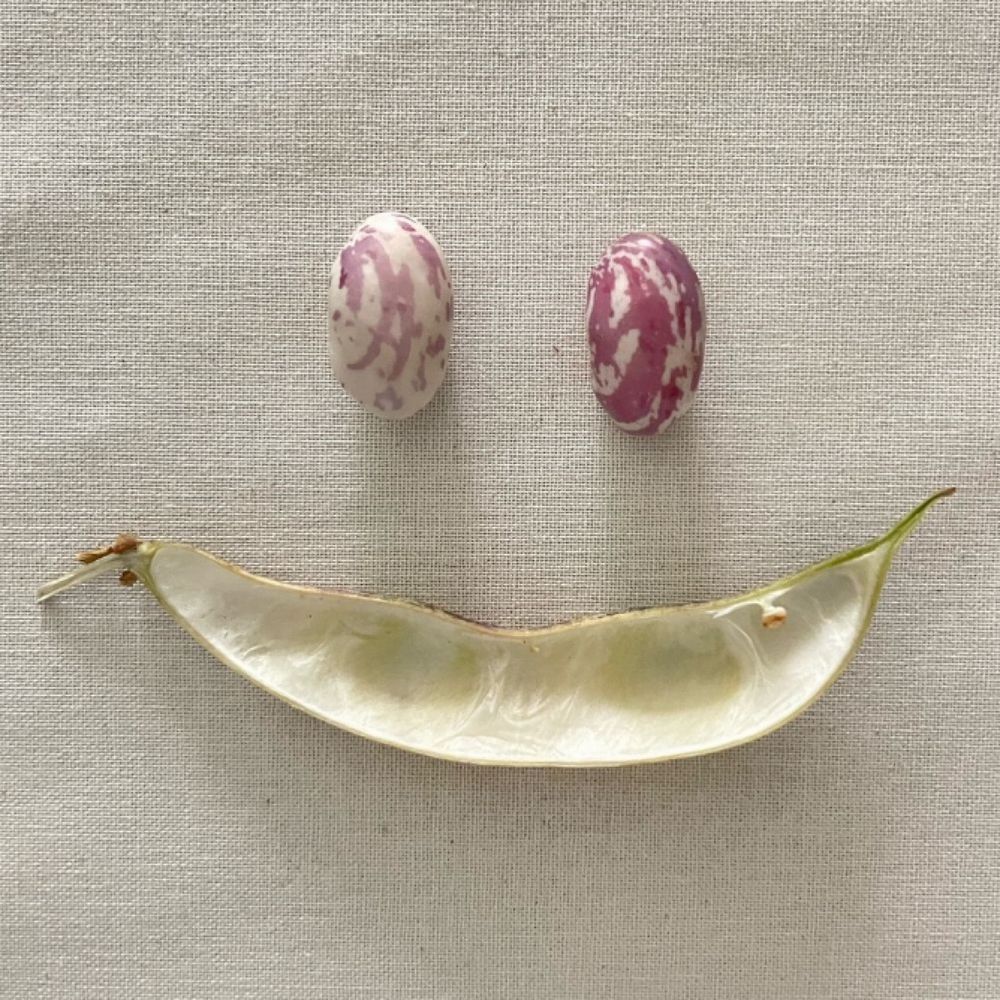 플