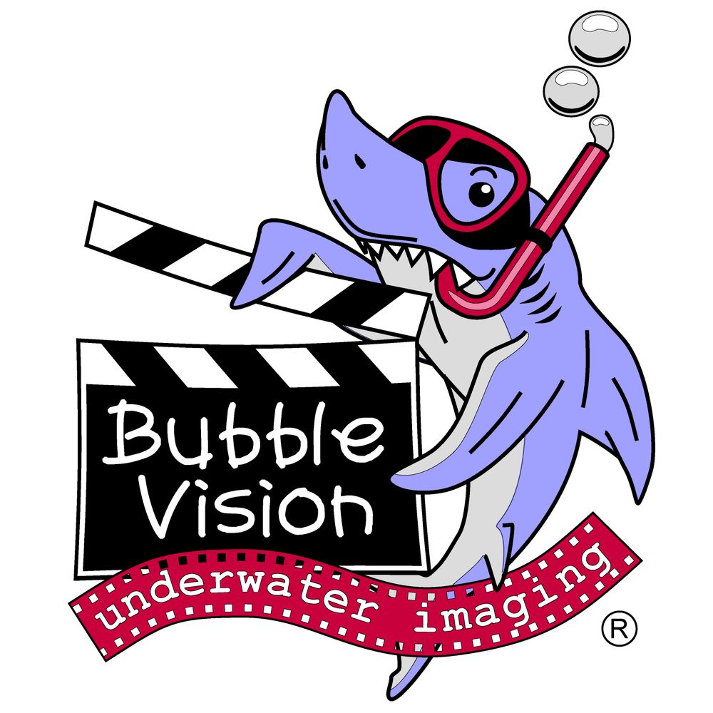 Bubble Vision