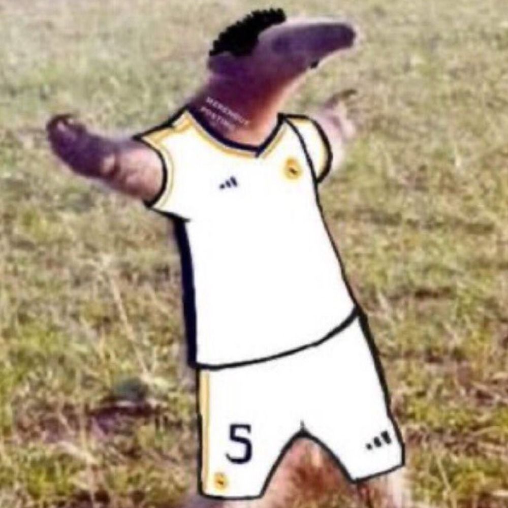 Lucas