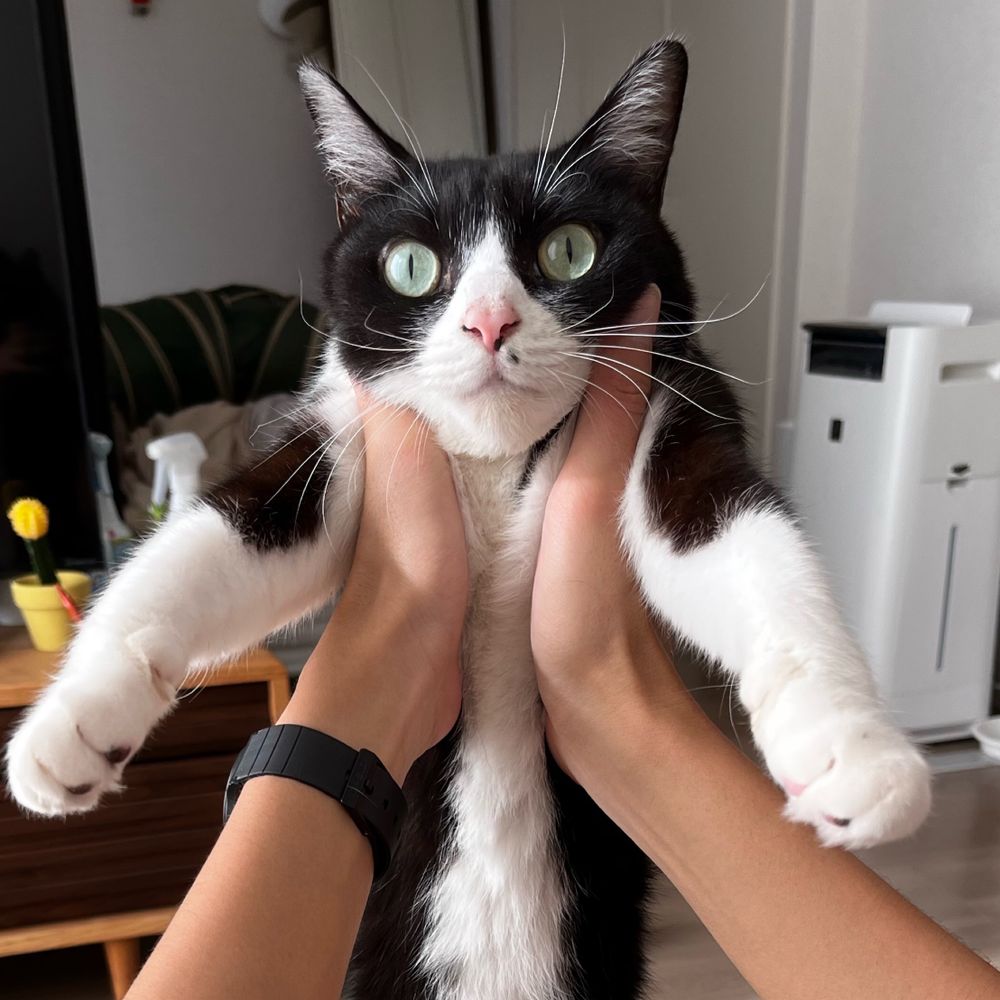 ふかふか