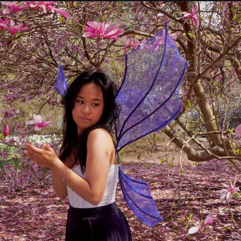 𝒞ℴ𝓃𝓈𝓉ℯ𝓁𝓁𝒶𝓉𝒾ℴ𝓃 ℴ𝒻 𝒮ℯ𝒶𝓂𝓈