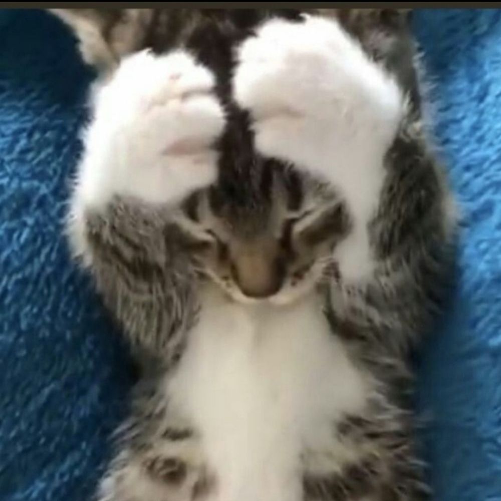 luu