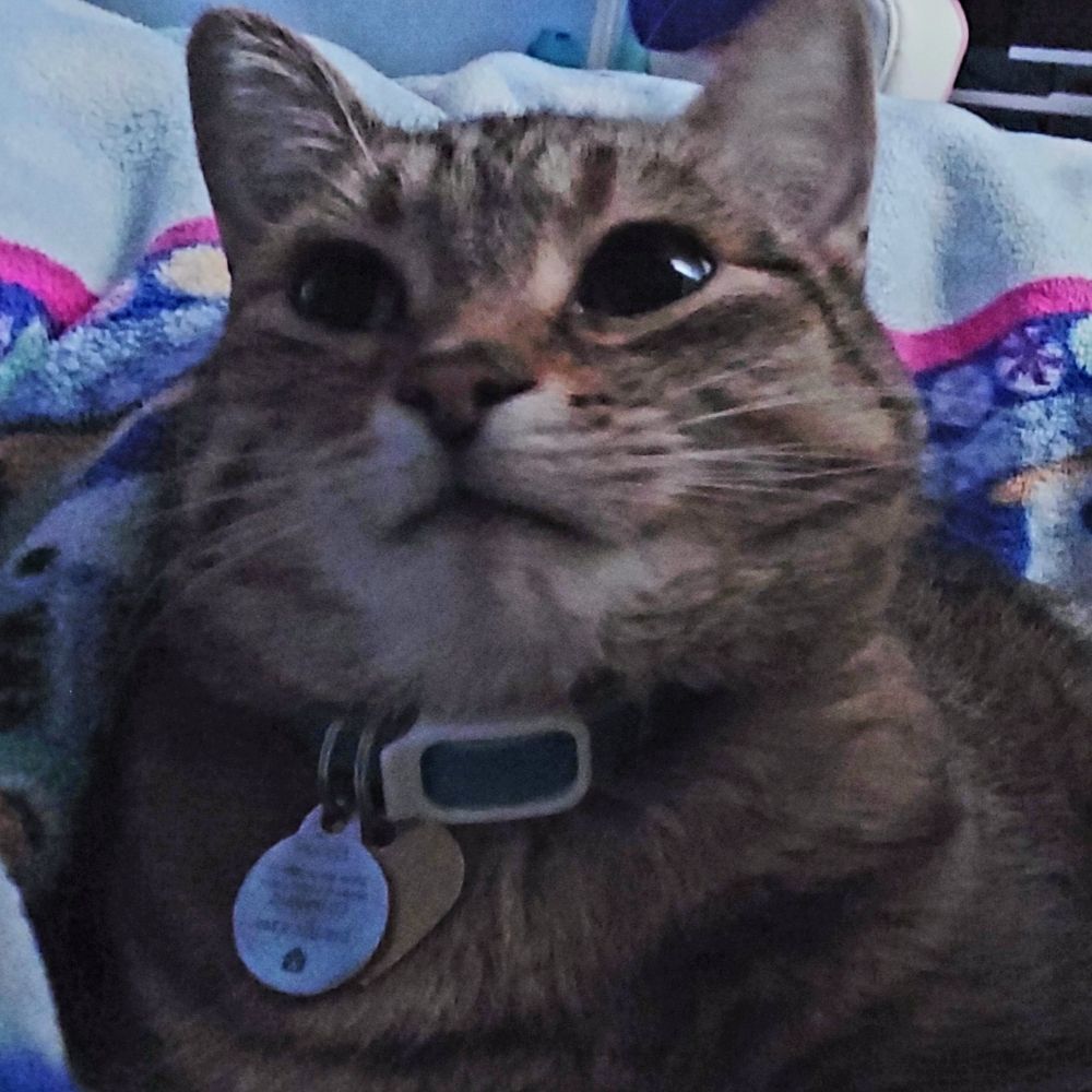 Migu Migu