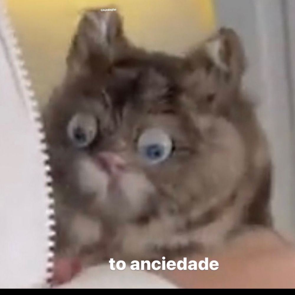 Zeca pau gordinho
