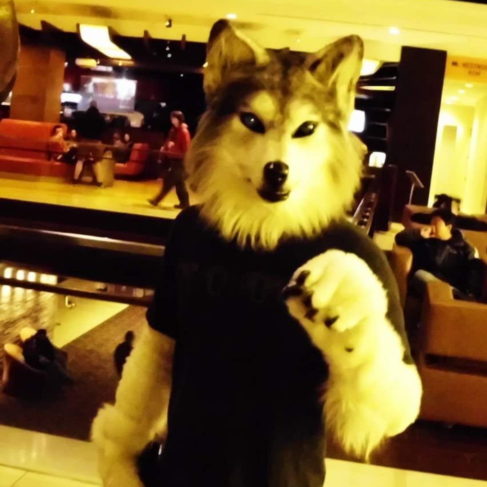 Wolf