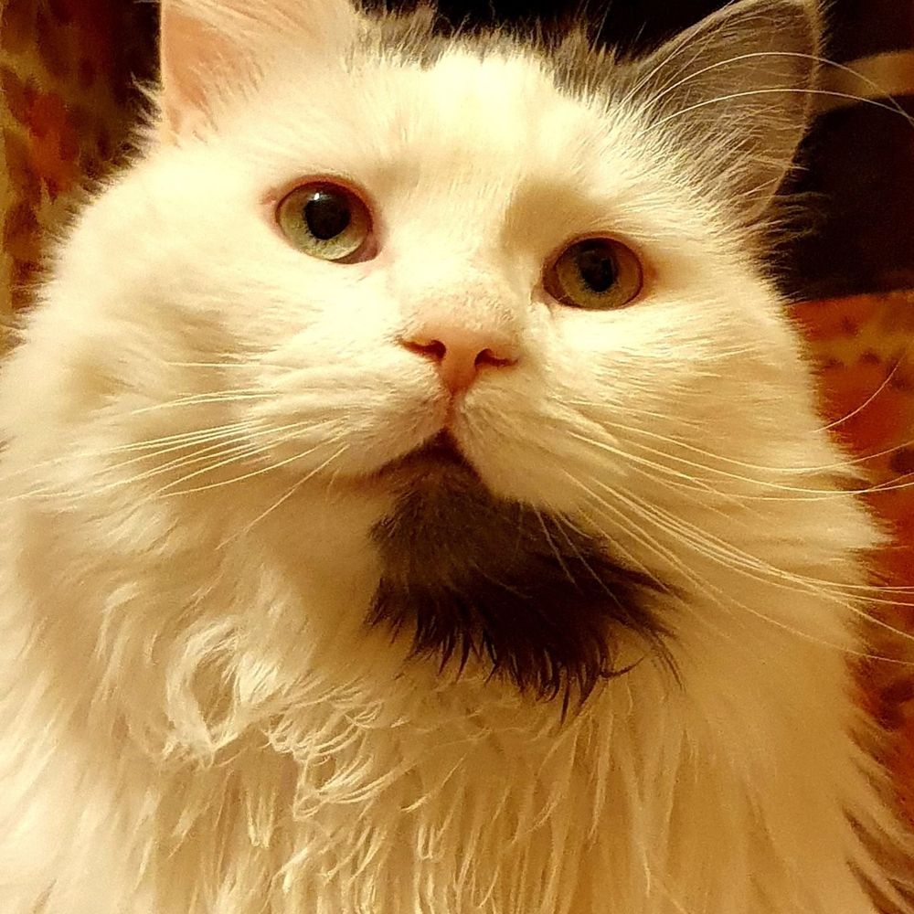 Sirius