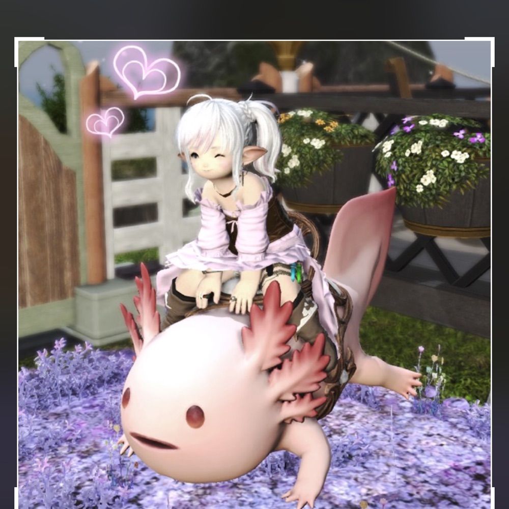さくら