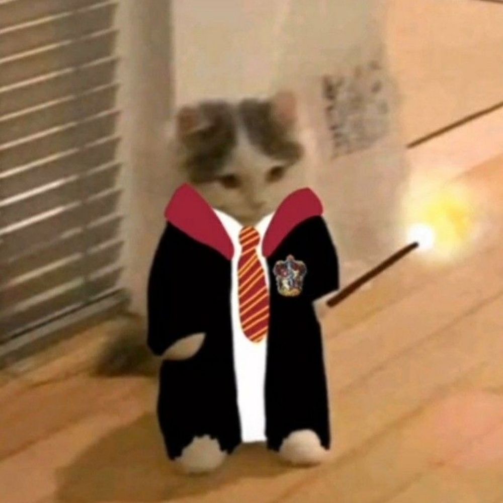 ᘻօȶȶά🏳️‍🌈