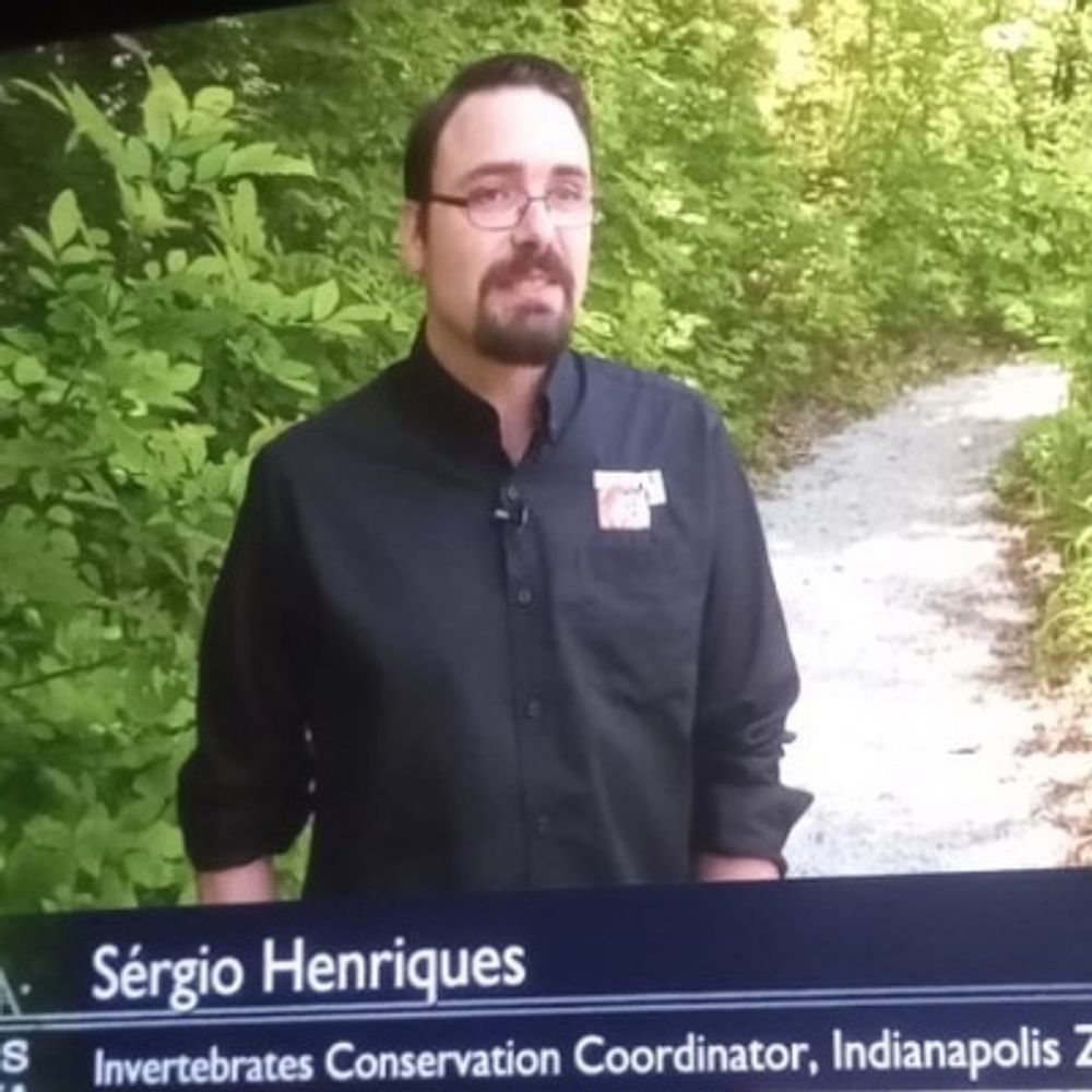 Sérgio Henriques