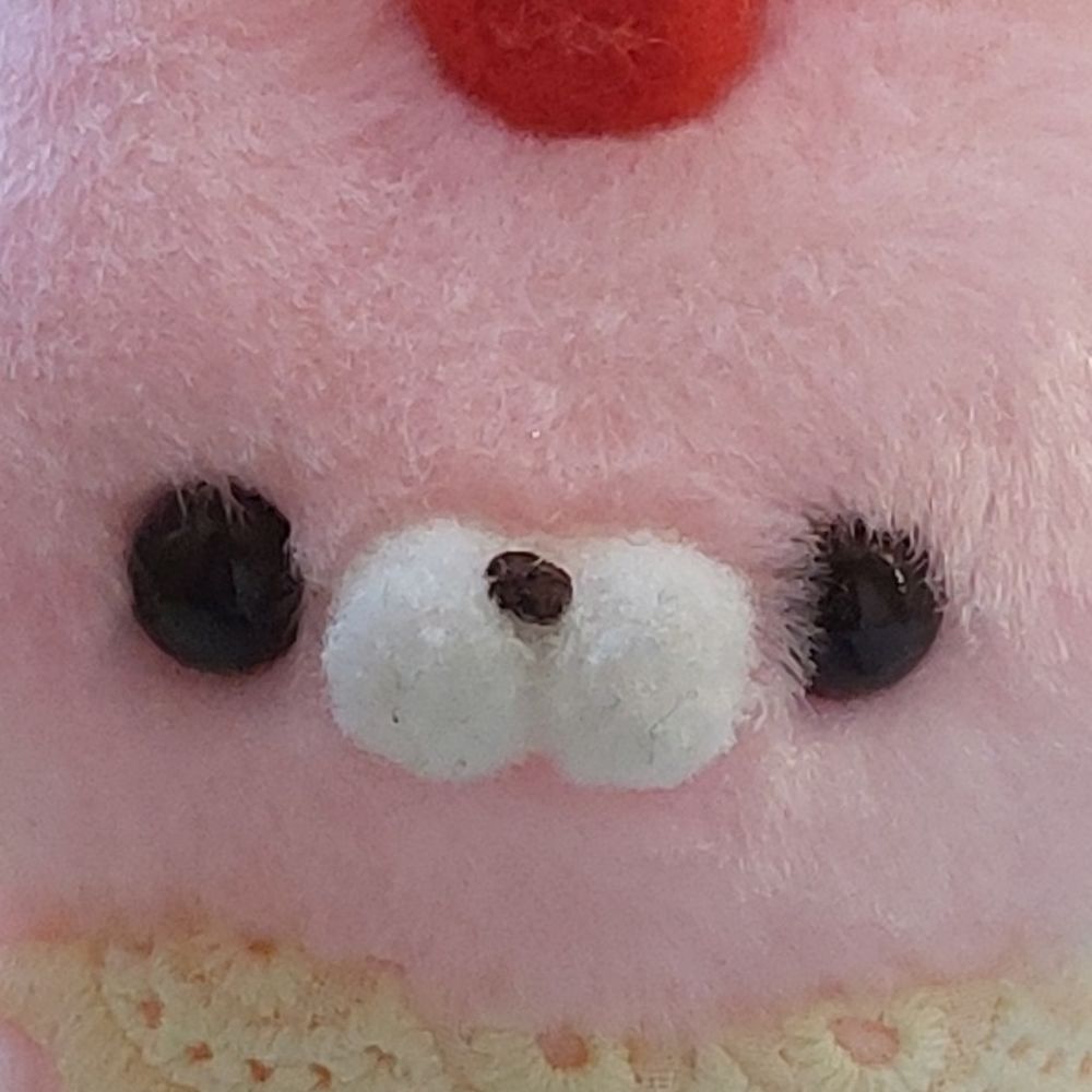潘妮洛普懶ㄉ搬家🌺
