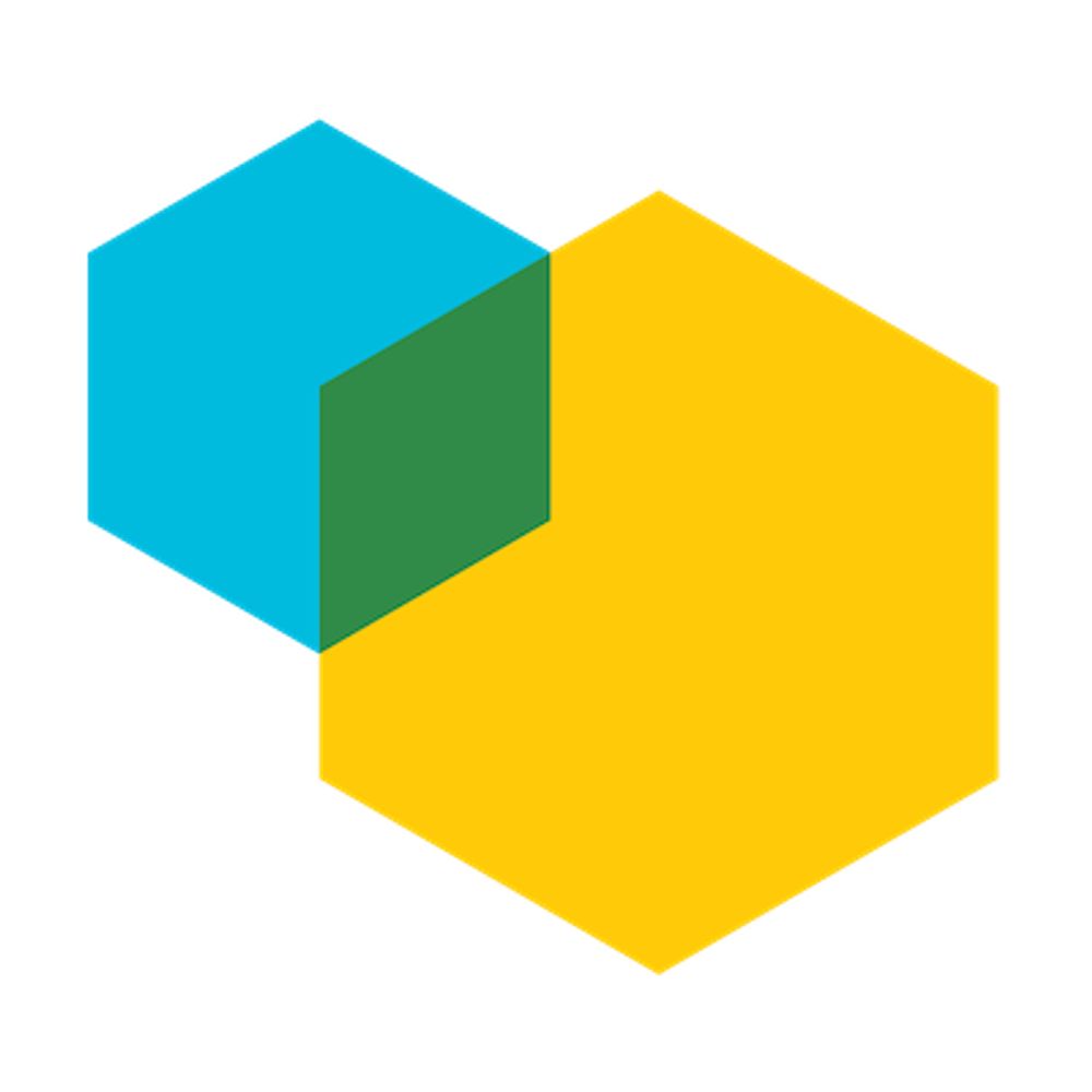 Global Sustainability Scholars