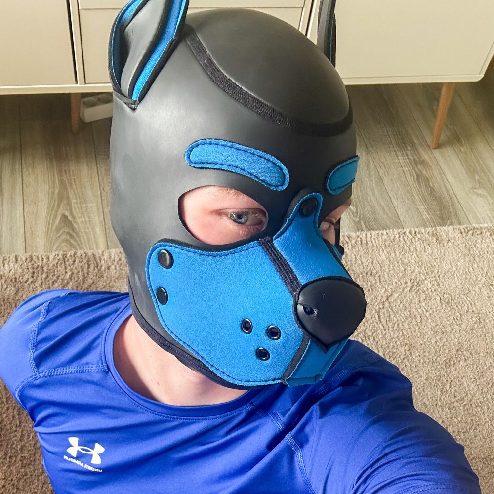 Pup Gnomi