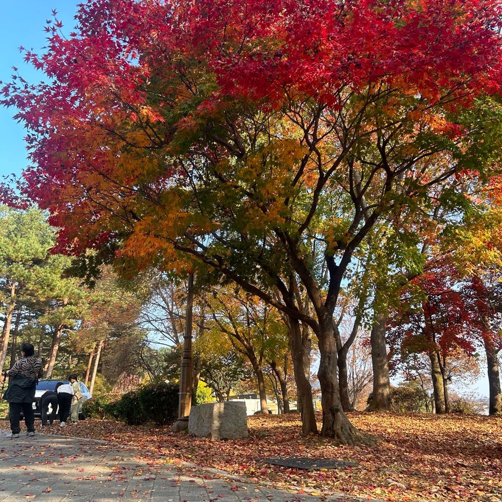 페리페리